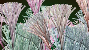 Praxis Dr. Kunst geschlossen