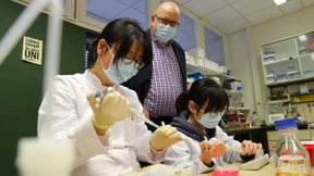 Auf dem Weg zum Medikament