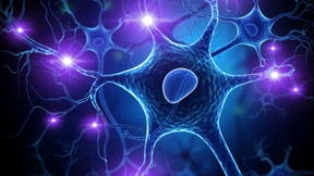 Was tut das Gehirn, wenn es spricht?