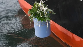 Drei Urnen an der Nordseeküste angespült