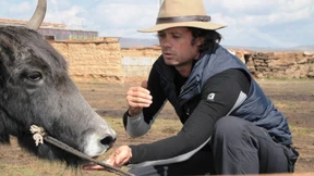 Der mit dem Yak tanzt