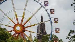 Alles Wichtige zum Mainfest