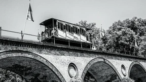 Wenn Geschichte Zähne zeigt