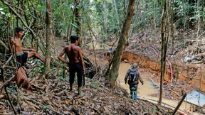 Wie das Volk der Yanomami von Goldgräbern bedroht wird