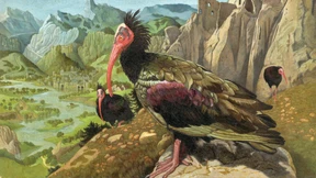 Echter als die Wirklichkeit