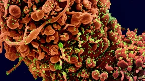 Mehr als nur eine Lungenkrankheit