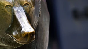 Starker Euro und schwache Anleihen drücken Dax ins Minus 