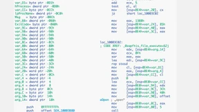 Der Text des Trojaners