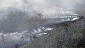 Mehr niedrige Wolken durch Waldbrände