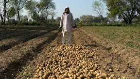 Die Welt steht vor der Düngerkrise