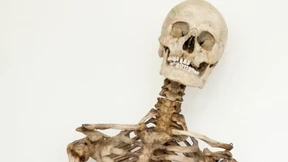 Rätsel um das Skelett des Räubers Schinderhannes geklärt