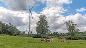 Großes Interesse von Investoren, große Sorgen um Grundwasser