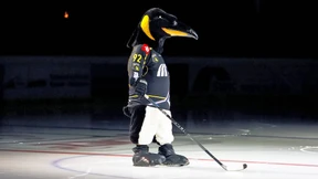 Krefelder Schreckens-Szenario