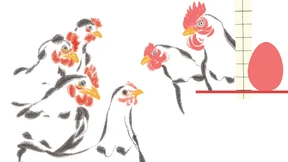 Auf Socken durch den Kot im Hühnerstall