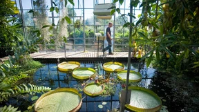 Eine Weltreise unter Glas