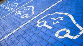 Wenige waren am Steuer von E-Autos