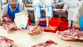 Kaum gefragt und schlecht bezahlt