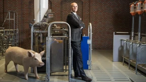 Ein Mann für alle Ställe