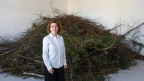 Kunst als Spiegel von Zerbrechlichkeit und Gewalt