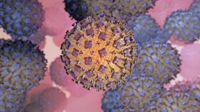 Die verspätete Infektionswelle