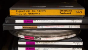 Da draußen im Wutland