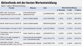 Aktienfonds mit der besten Wertentwicklung