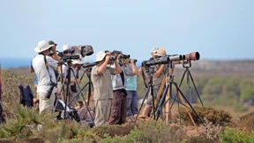 Schräge Vögel unter sich