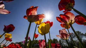 Mildes Sommerwochenende steht bevor