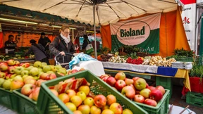 Eine Kiste Spargel fürs Internet