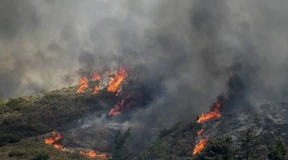 Urlaub um jeden Preis?