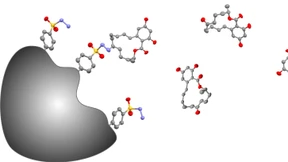 Eine Mikroangel für Mycotoxine