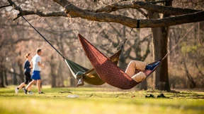 Mehr Grün für alle!