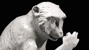 Dieser Zoo ist sehr zerbrechlich