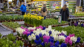 Grün ist die Hoffnung