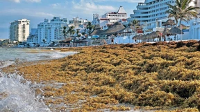 Der Fluch der Karibik