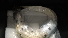 Alligator im Gepäck entdeckt