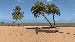 Dschungel mit historischem Ortskern