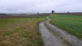 In ferne Welten  aus den Stuben über Sterne