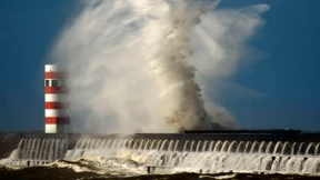 Der Dux und die Welle