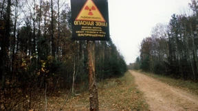 Tschernobyl-Sperrzone ist Paradies für Wildtiere
