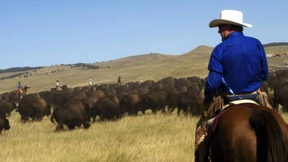 Einmal sein eigener Bürgermeister sein