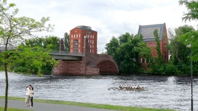 Weiß die Linke, was die Rechte tut?
