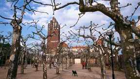 Ein „wegweisendes und lebendiges Gebilde“ 