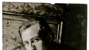 Sie haben wohl ein ganzes Nest gefunden