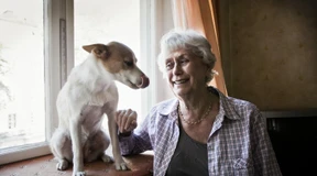 Weit entfernt von Jagdromantik