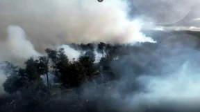 Schwere Waldbrände wüten in Chile