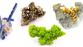 Vielfalt hinter Gittern