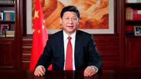 Kampf gegen Fliegen und Tiger 