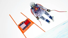 Das „Piefke-Zebra“ fühlt sich pudelwohl