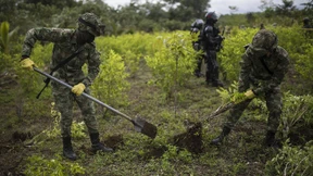 Koka-Bauern in Kolumbien nehmen 180 Soldaten als Geiseln
